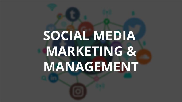 Social Media Marketing and Management - Digital Marketing